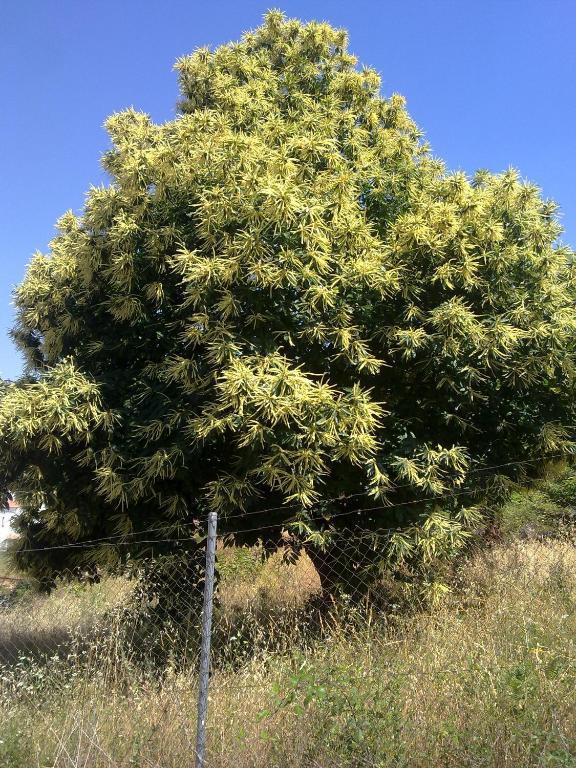 Pension Barrio Fuenteheridos Exteriör bild