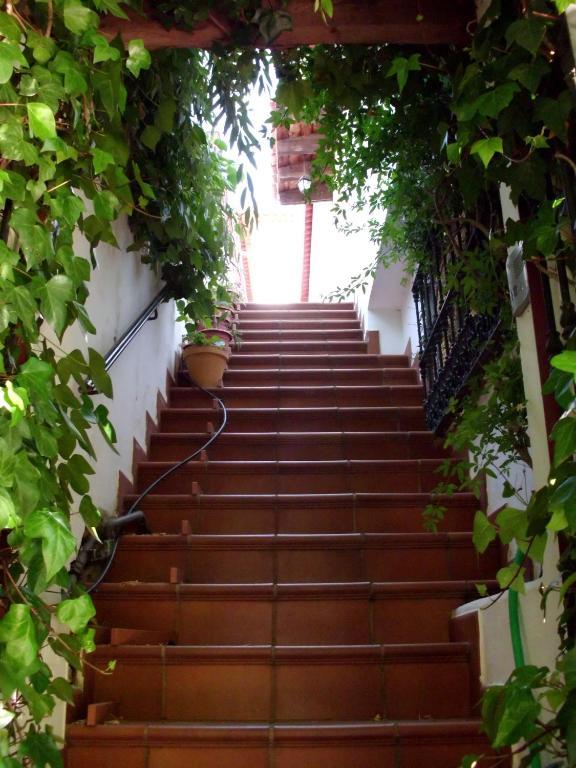 Pension Barrio Fuenteheridos Rum bild